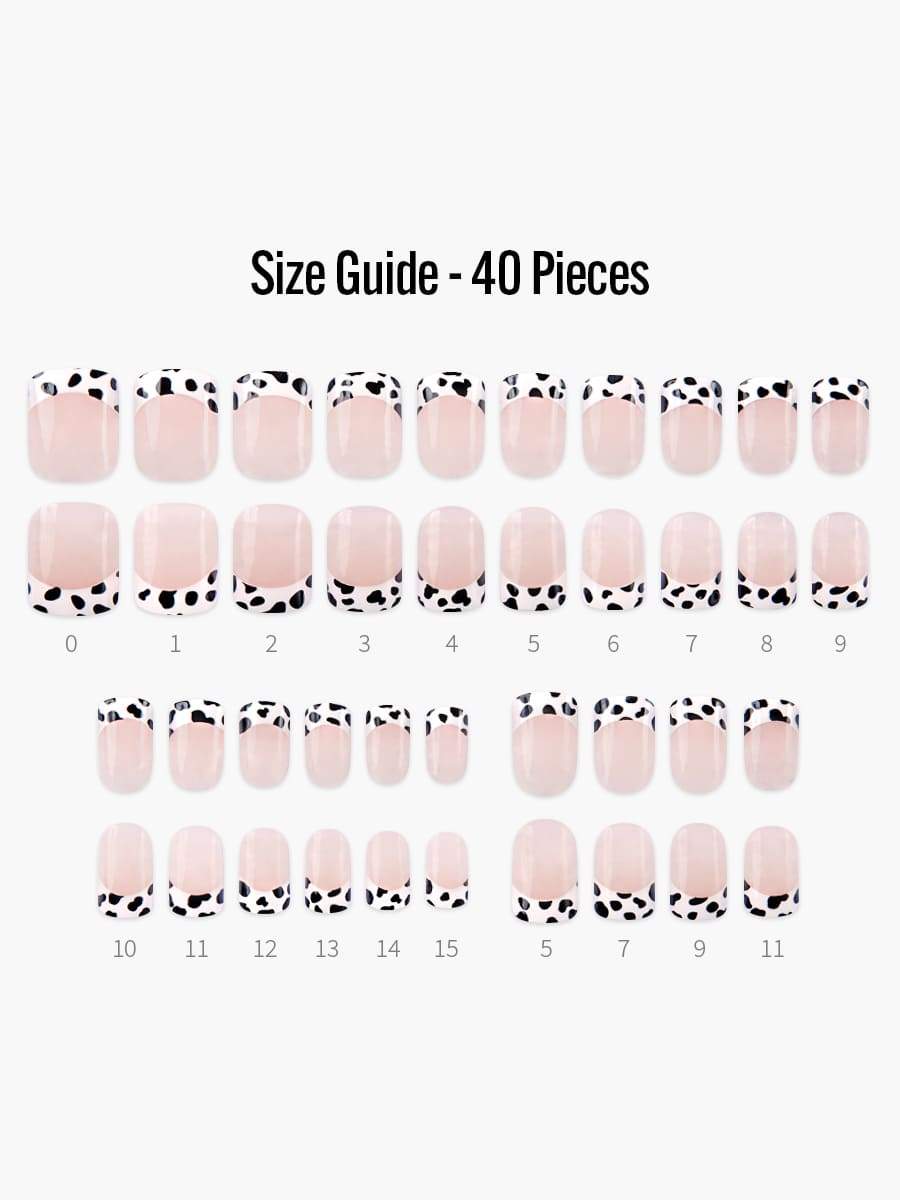 Dalmatian(ダルメシアン) - フィンガースーツネイルチップのサイズガイド(40枚入り、16サイズ)
