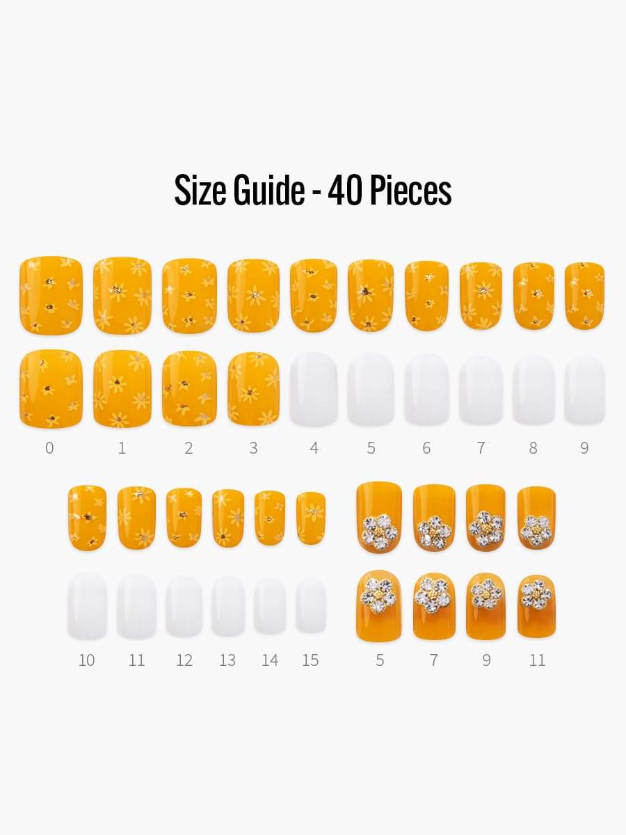 Little Sunshine(リトルサンシャイン) - フィンガースーツネイルチップのサイズガイド(40枚入り、16サイズ)