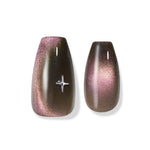 WINTER 新作 選択１